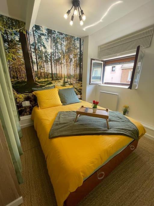 Appartement Belle Vue Boulogne-sur-Mer